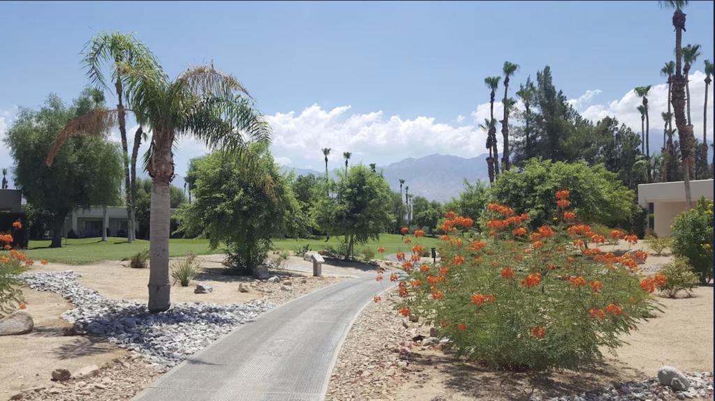 Desert Princess - Residential