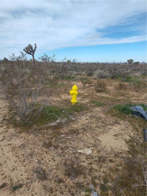 Photo of 0 Buttemere Road, Phelan, CA 92371 (MLS # HD26026693)