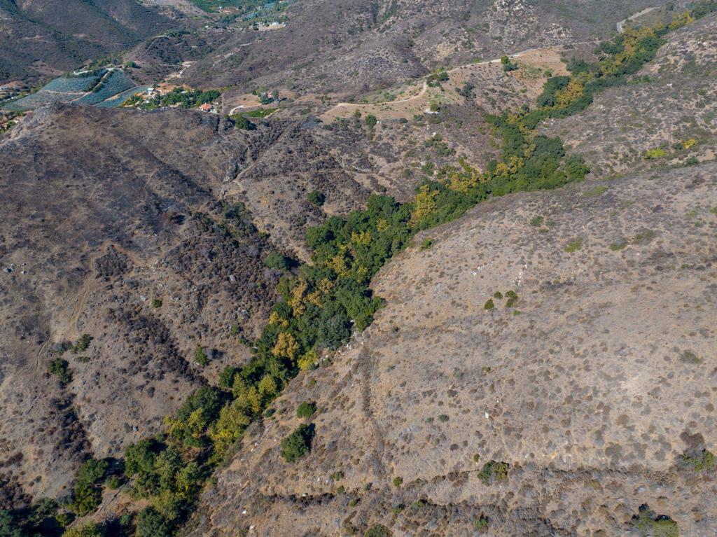 Fallbrook - Land