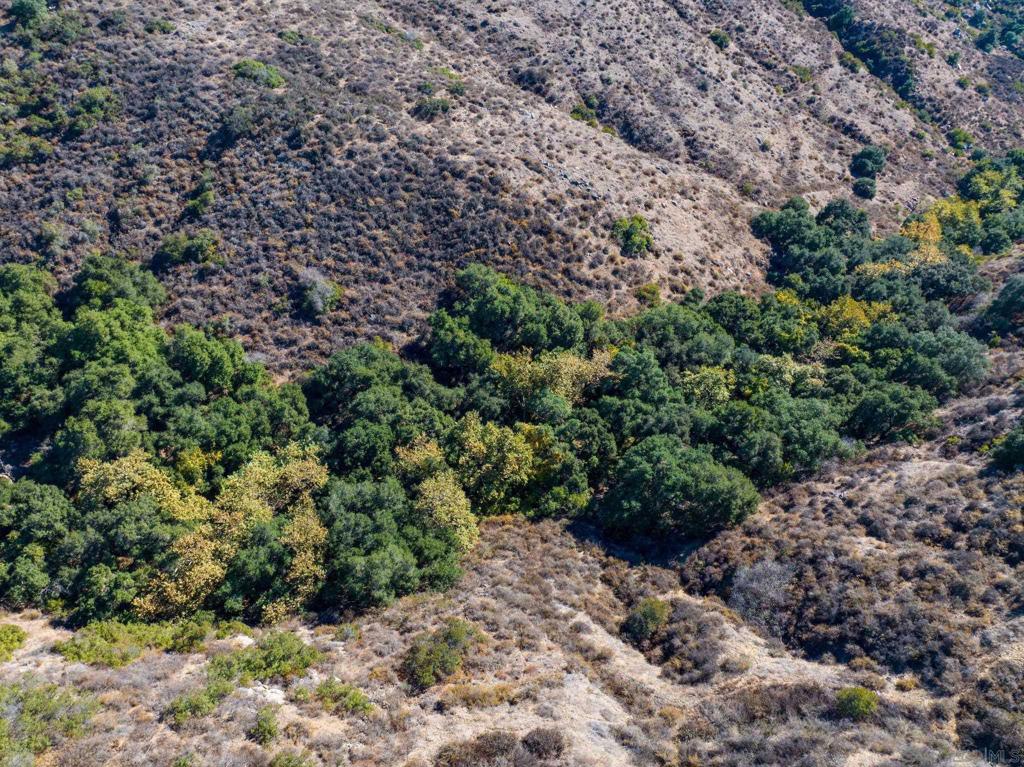 Fallbrook - Land