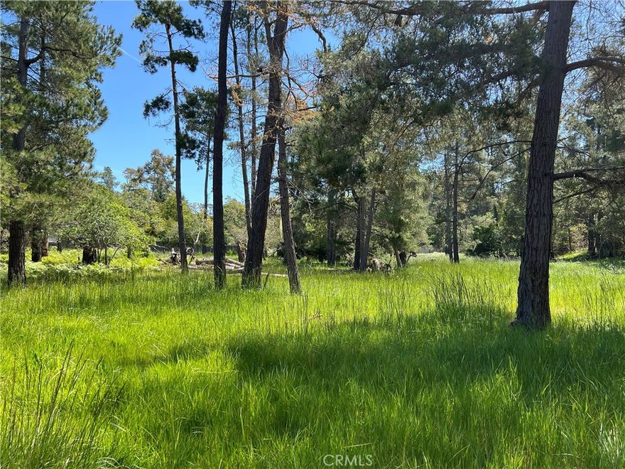 Kenneth Drive. A level 100' x 175' estate size lot approx. 17,500 sqft. A quiet less traveled road not far to the beach or the trails at Fiscalini Ranch Preserve. Wildlife lives here, deer, turkey, birds. Options are to keep the current CCSD water position #622 or exchange for something lower on the list. It's whatever you decide. Buy and Hold for now until the current building moratorium for new construction is lifted. Check CCSD and county websites (cambriacsd.org & slocounty.ca.gov) for info on the moratorium and allowable uses for property. Come and see why this well priced large future building site is something to consider buying and holding for that future Cambria home you've been dreaming of. Offered for $59,900.