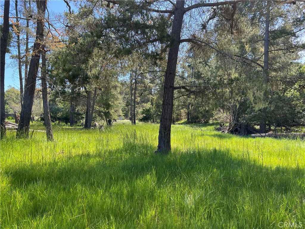 Lodge Hill(430) - Land