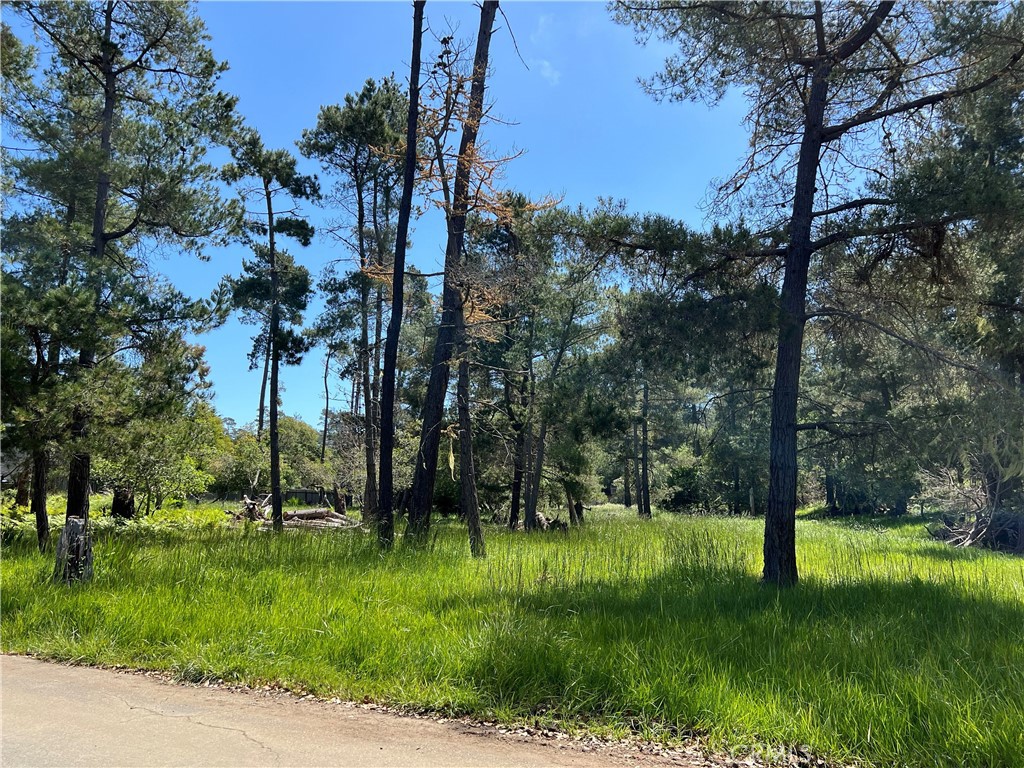 Lodge Hill(430) - Land