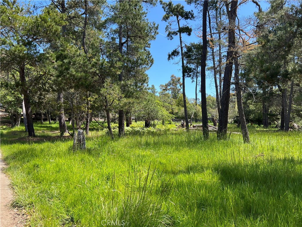 Lodge Hill(430) - Land