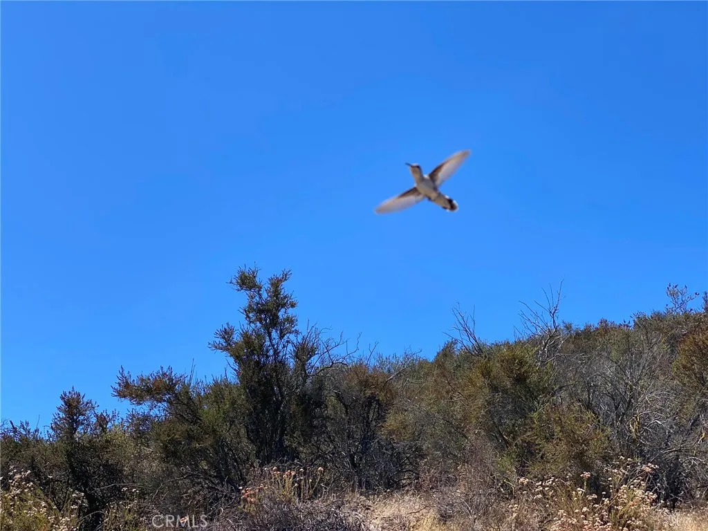 Wildomar, California 92595, United States, ,Land,Active,76027
