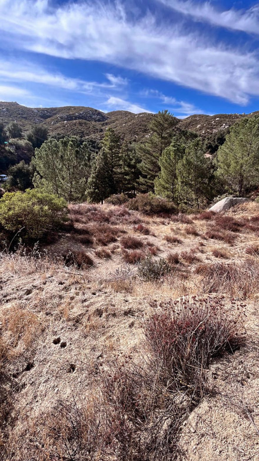 Welcome to Poppet Flats! This charming elevated lot boasts amazing views of the San Gorgonio Mountain Range. Be immersed in nature with this .14 acre gem. This property is ideal for someone who is seeking privacy and space but quick access to town, shopping and the highway. Ready to camp or build your home or cabin. Don't miss your chance to own a slice of paradise! Buyer to verify all zoning all zoning and utility information with the county.