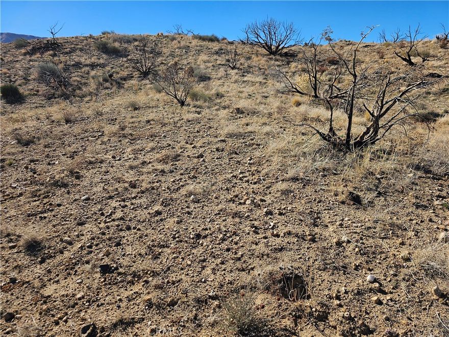 Amazing Residential lot on a 2.54AC lot in Juniper Hills.  Selling separately with another 10AC parcel.