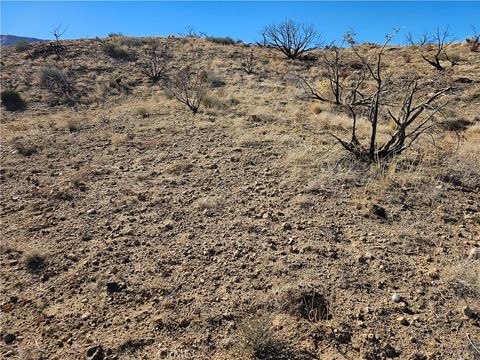 Photo of 6 128th E, Juniper Hills, CA 93543 (MLS # SR25265914)