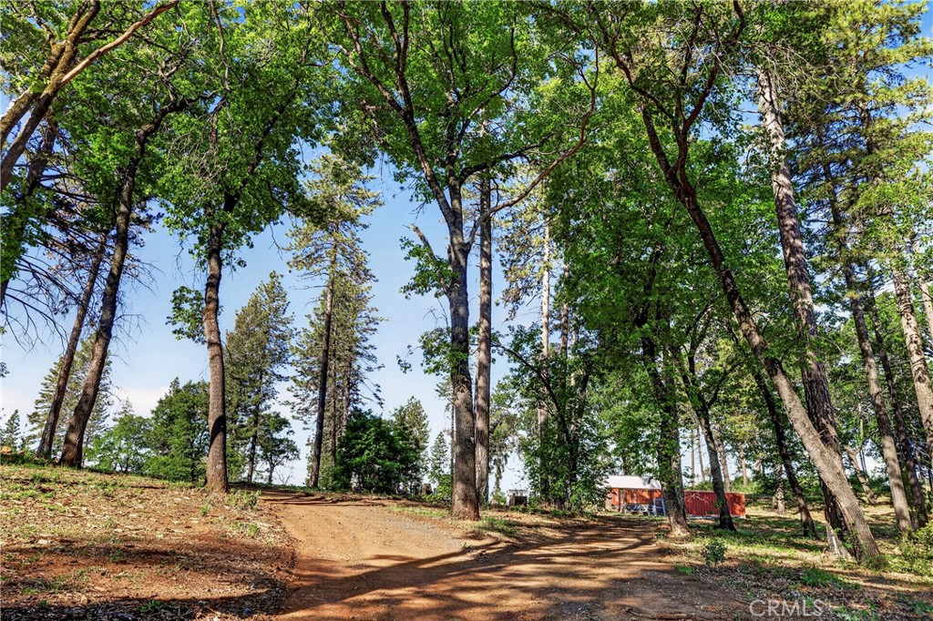 12471 Granite Ridge