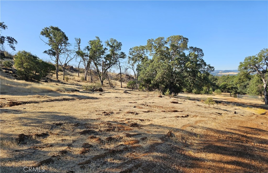 Level lot in meadow ready to develop, utilities to be determined but close by, buyer to investigate logistics.