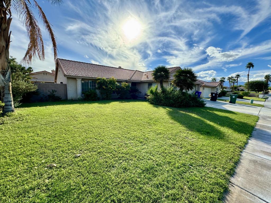 Cactus Flower - Residential