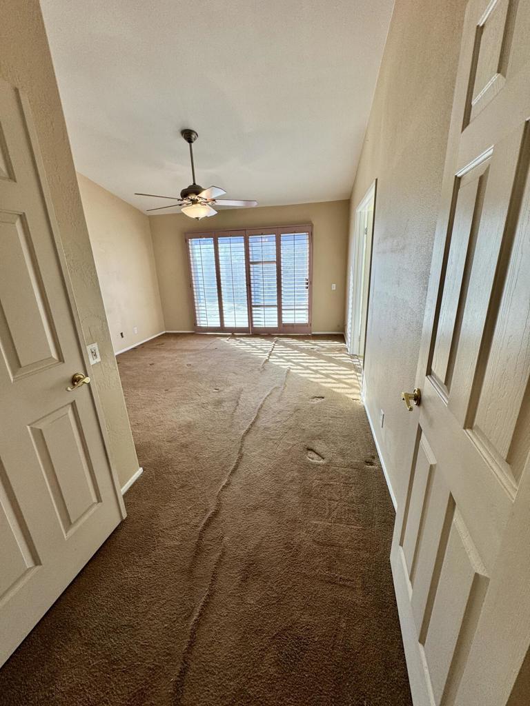 Cactus Flower - Residential