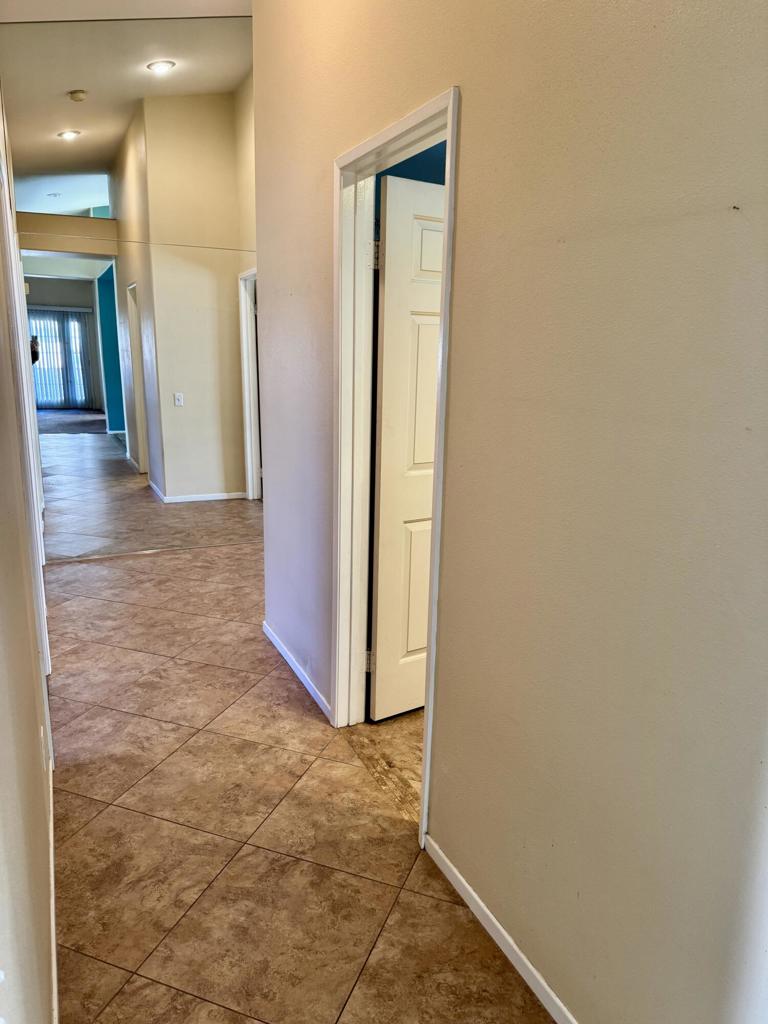 Cactus Flower - Residential