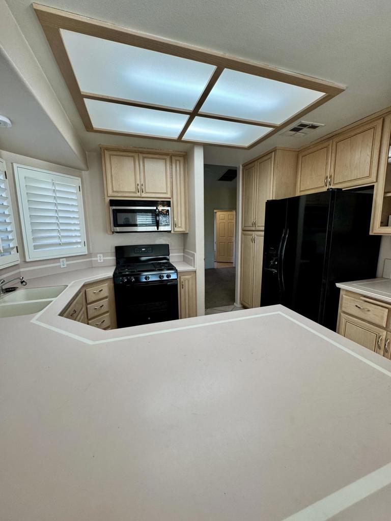 Cactus Flower - Residential