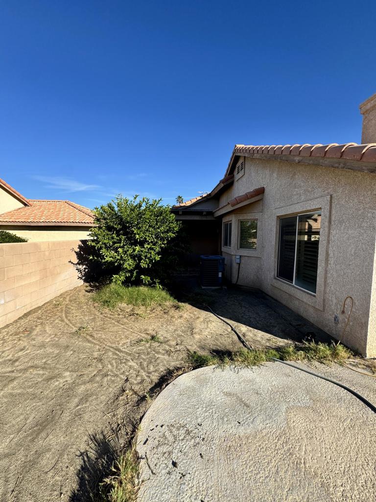 Cactus Flower - Residential