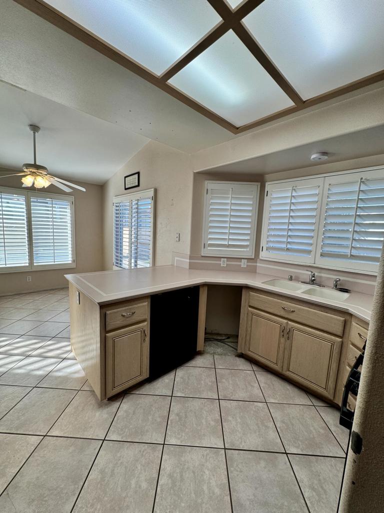 Cactus Flower - Residential