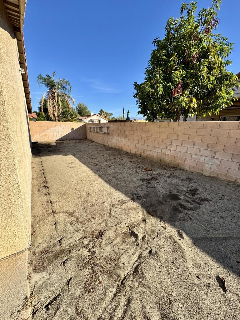 Cactus Flower - Residential