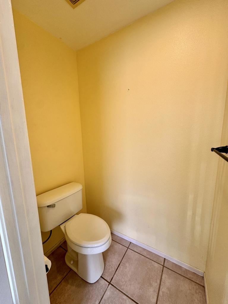 Cactus Flower - Residential