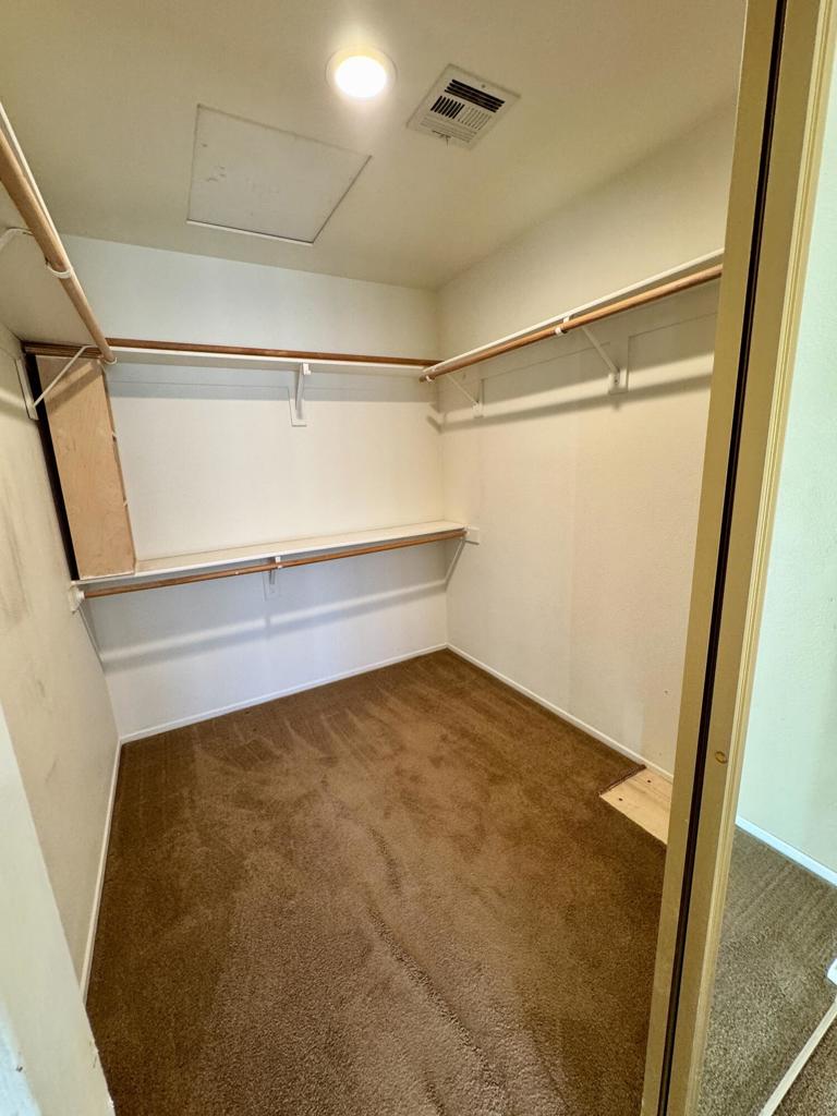 Cactus Flower - Residential