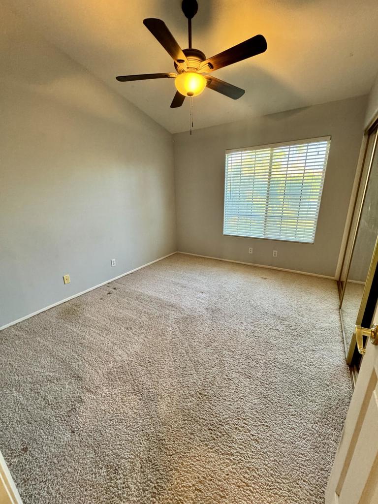 Cactus Flower - Residential