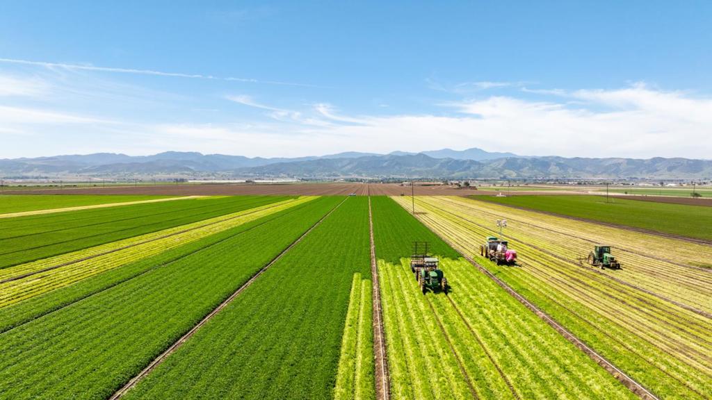 This listing can be combined with ML82012658, the main cattle ranch located approximately 9 miles to the northeast. The farming component includes 5 parcels totaling 744 acres, of which 552.60 acres are highly productive level Class II soils, well-suited for a wide range of row crops. Currently farmed in leafy greens, the irrigated acreage is supported by a developed irrigation system including two high-production wells and retention ponds with an income producing lease in place with a large local agricultural cooperative, providing reliable annual revenue. The soil quality, water availability, mild Mediterranean climate, and existing infrastructure offer significant flexibility for future crop rotations or diversified production. Utilities are also in place, making this farmland fully equipped for ongoing agricultural or other diversified uses.