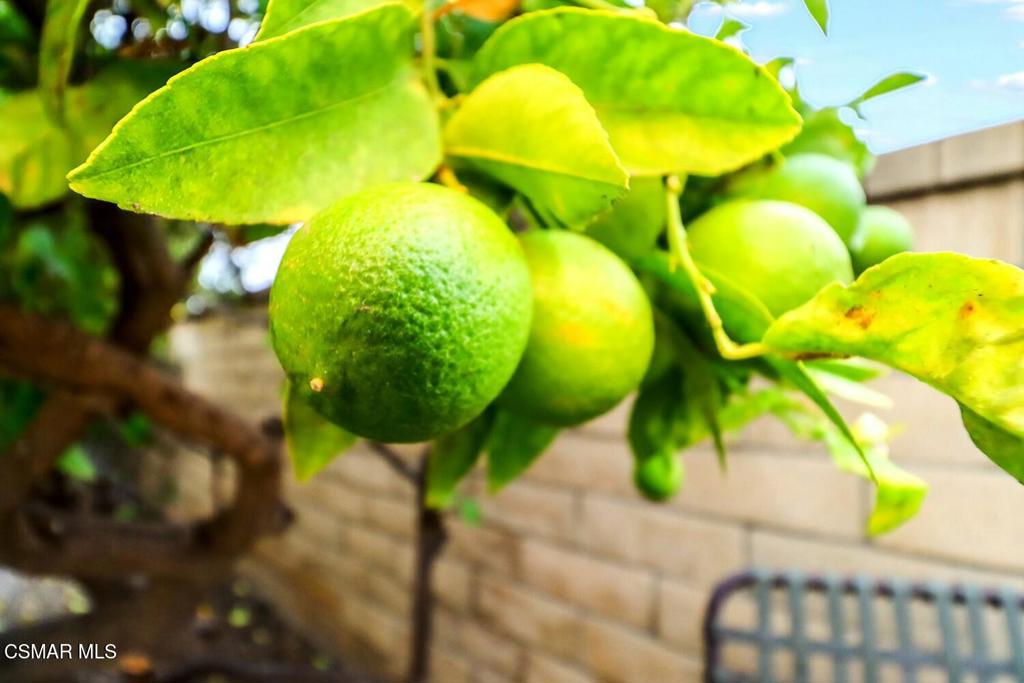 Camarillo Central: Other - 41 - Residential