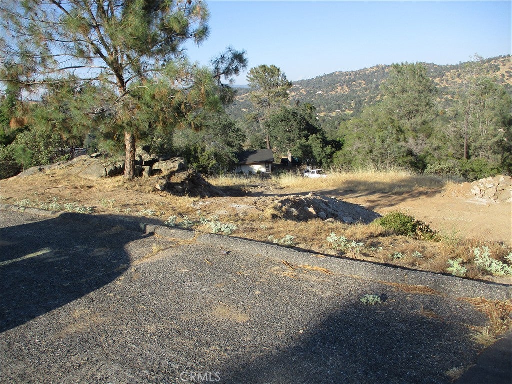 42112 Colt Way