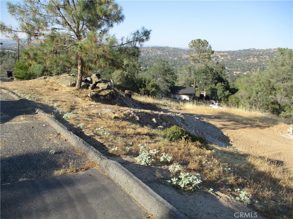 42112 Colt Way