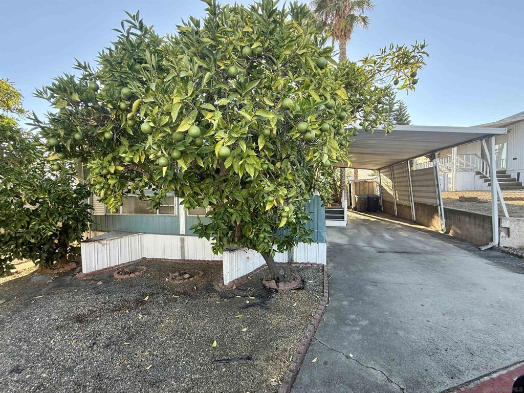 North Escondido - Residential