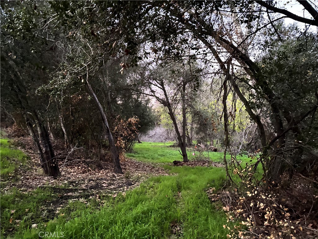 26055 Avenida Del Oro