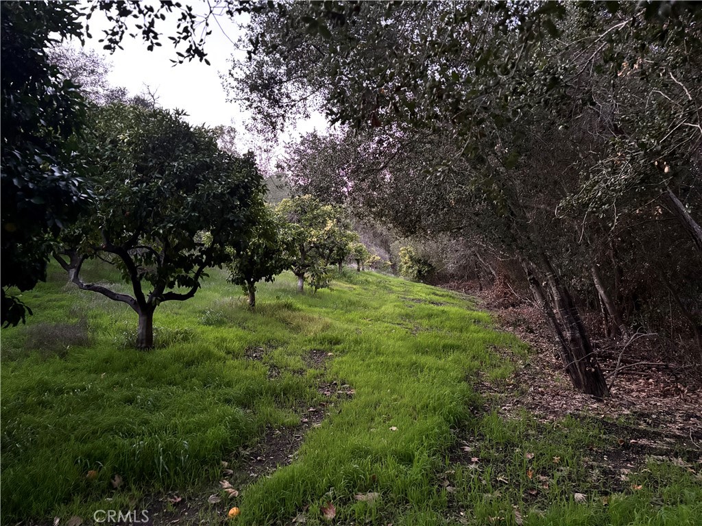 26055 Avenida Del Oro