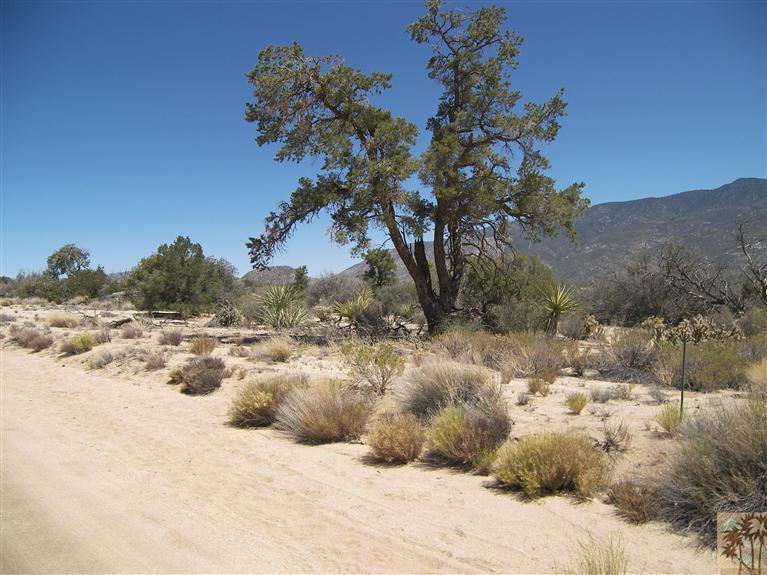 Pinyon Pines area in Santa Rosa Mountains. A short drive up Highway 74 from Palm Desert and you're in Blue Skies and cooler temperature. Higher elevation and wonderful views of mountains. Lot 319 on Alpine Dr. is off the main road of Palm Canyon, so not a highly traveled road and near mountain range. Lot is fairly level with light overgrowth. Seller says lot is higher elevation than some in area. To build on this lot buyer would need to drill a well and put a septic system in. The area is also zoned for horses, with county restrictions as to how many per acre(check with county for particulars). Mobile Homes allowed, check with county for more information