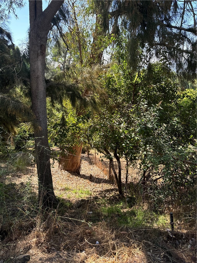 891 Mount Washington Drive