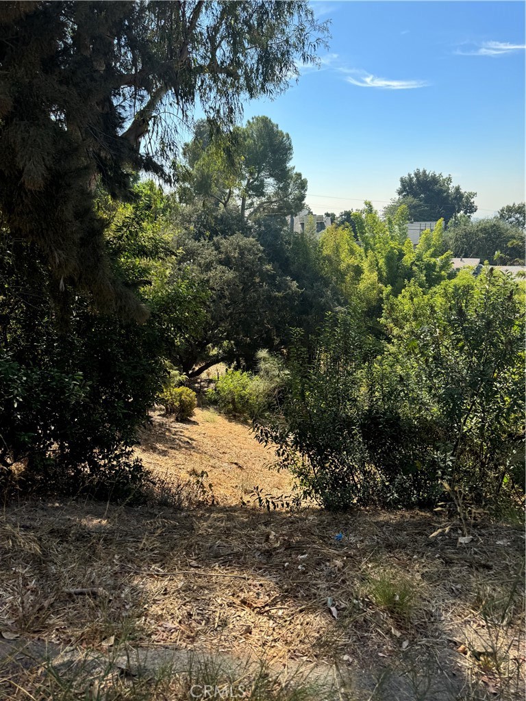 891 Mount Washington Drive