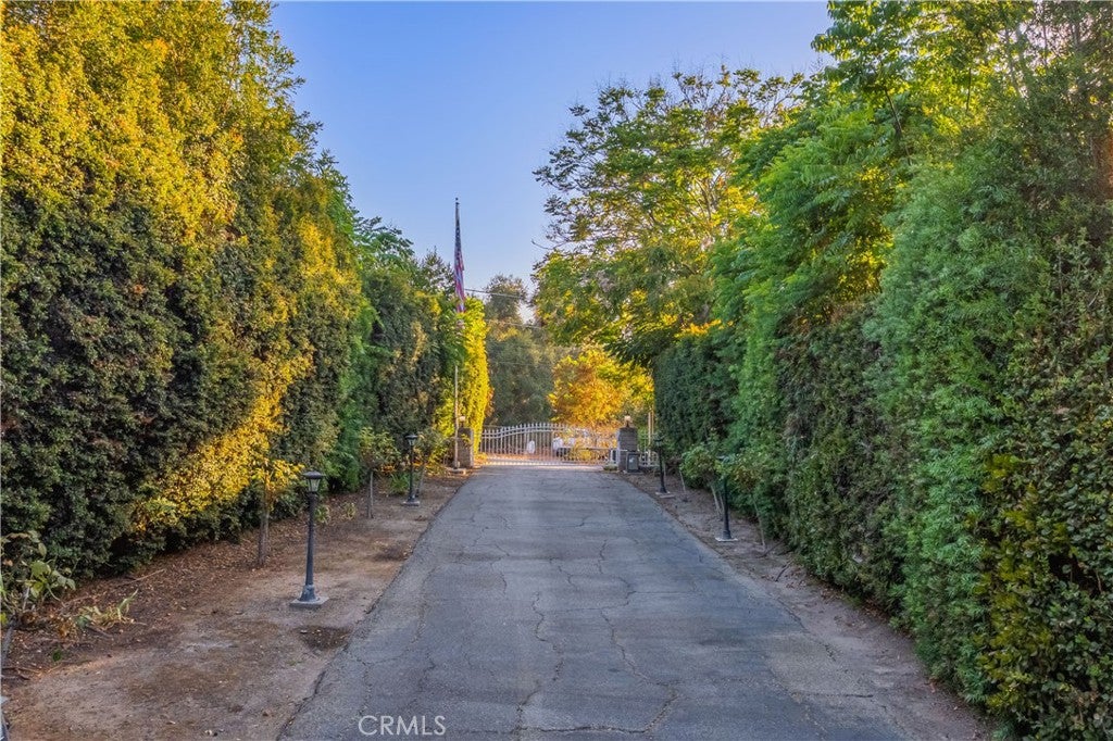 2484 Cameron Avenue