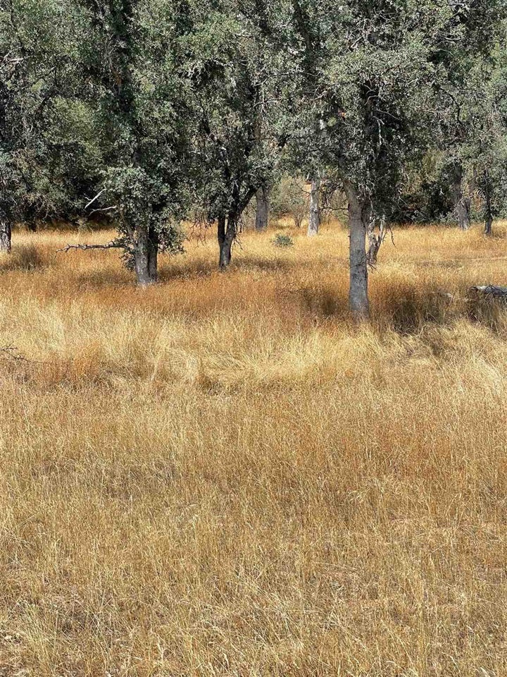 Bull Creek Rd 2S05