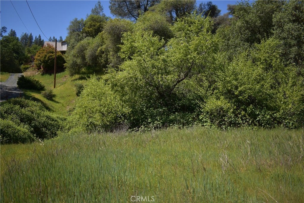 15788 Brewer