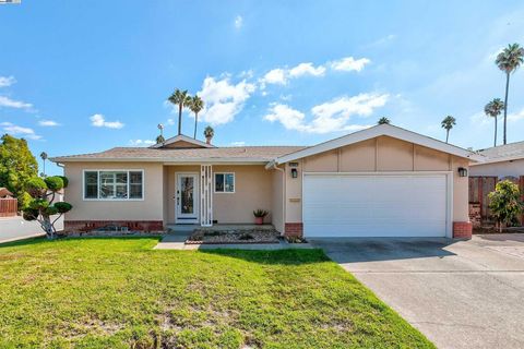 Photo of 5330 Coco Palm Dr Dr, Fremont, CA 94538 (MLS # 41115175)