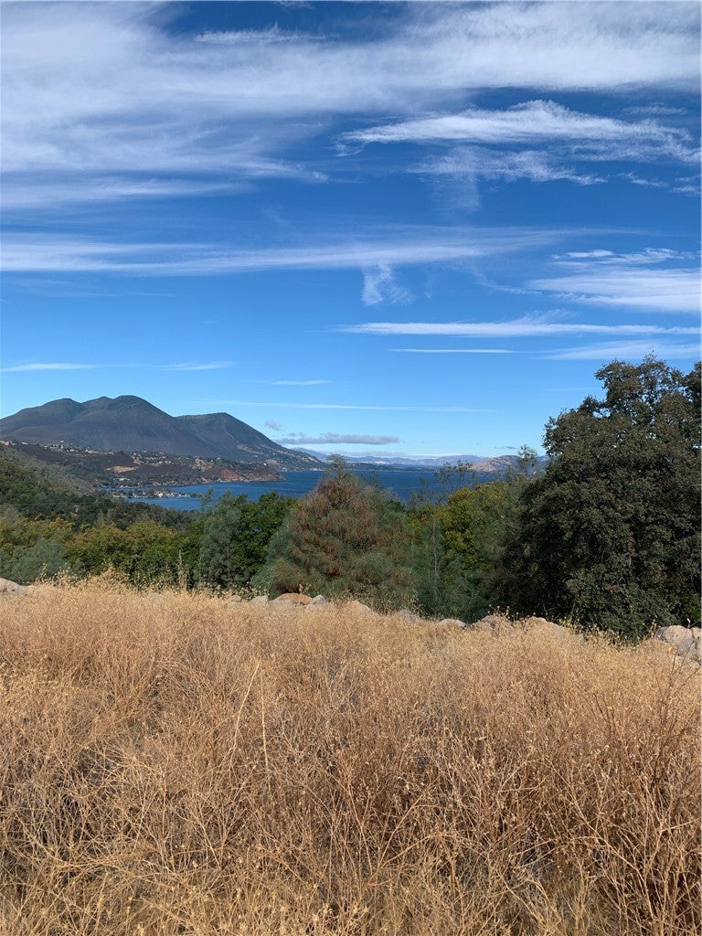 13356 Point Lakeview