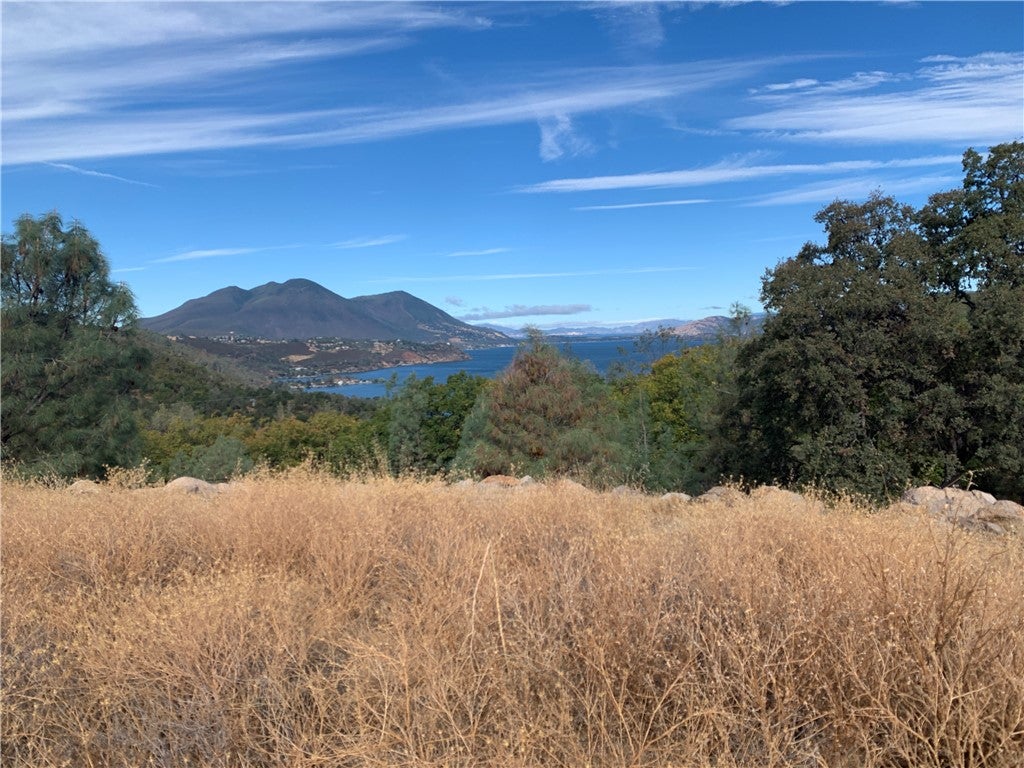 13356 Point Lakeview