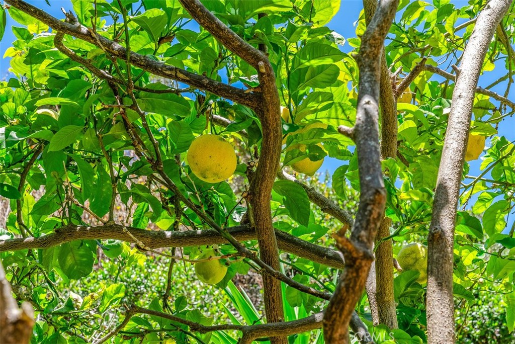 Laguna Terrace Mobile Pk(LT) - Manufactured In Park