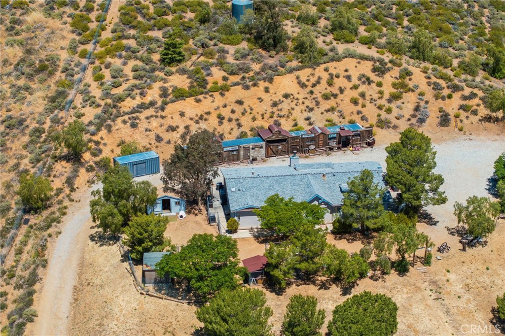 35675 Peppertree