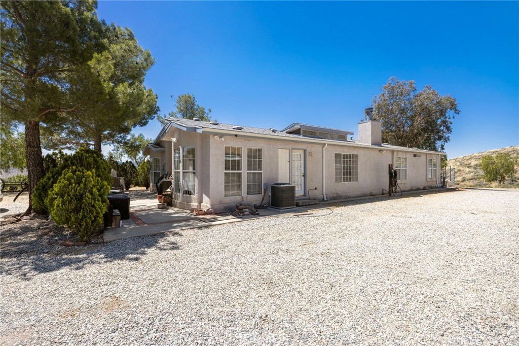 35675 Peppertree