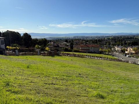 44533 Vista Grande Ct Fremont CA 94539