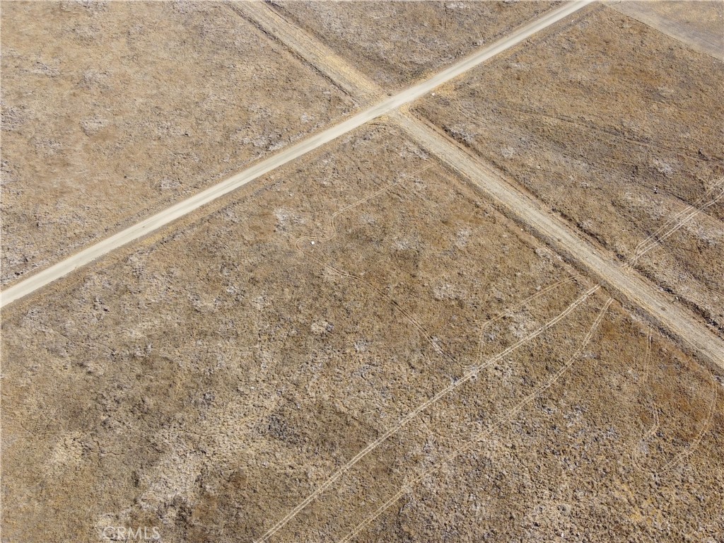 Carrizo Plains/California Valley(62) - Land