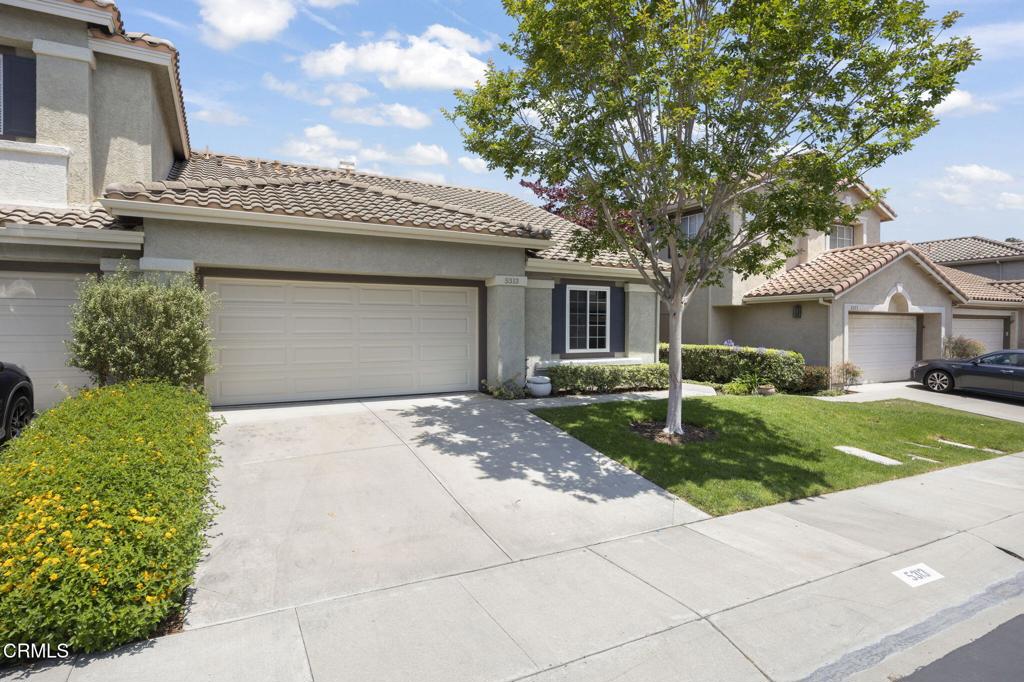 5313 San Francesca Drive
