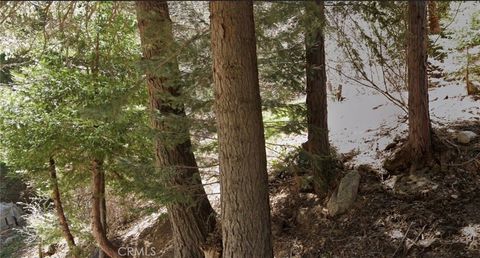0 Wellsley Lake Arrowhead CA 92352