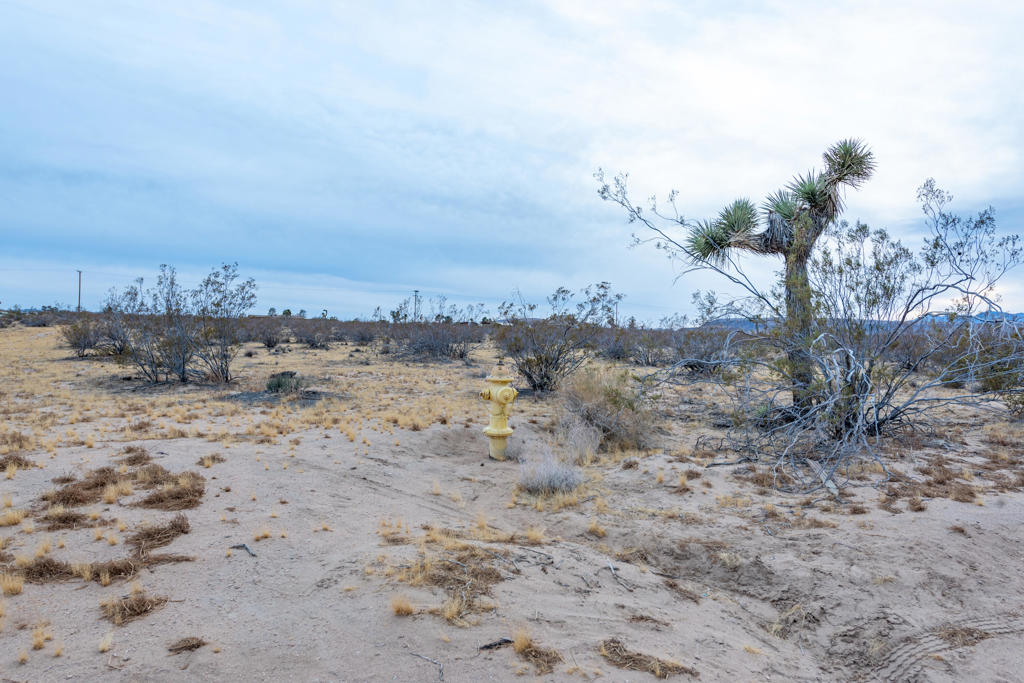 Not Applicable-1 - Land