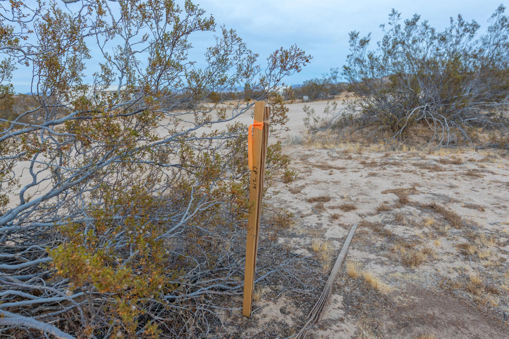 Not Applicable-1 - Land