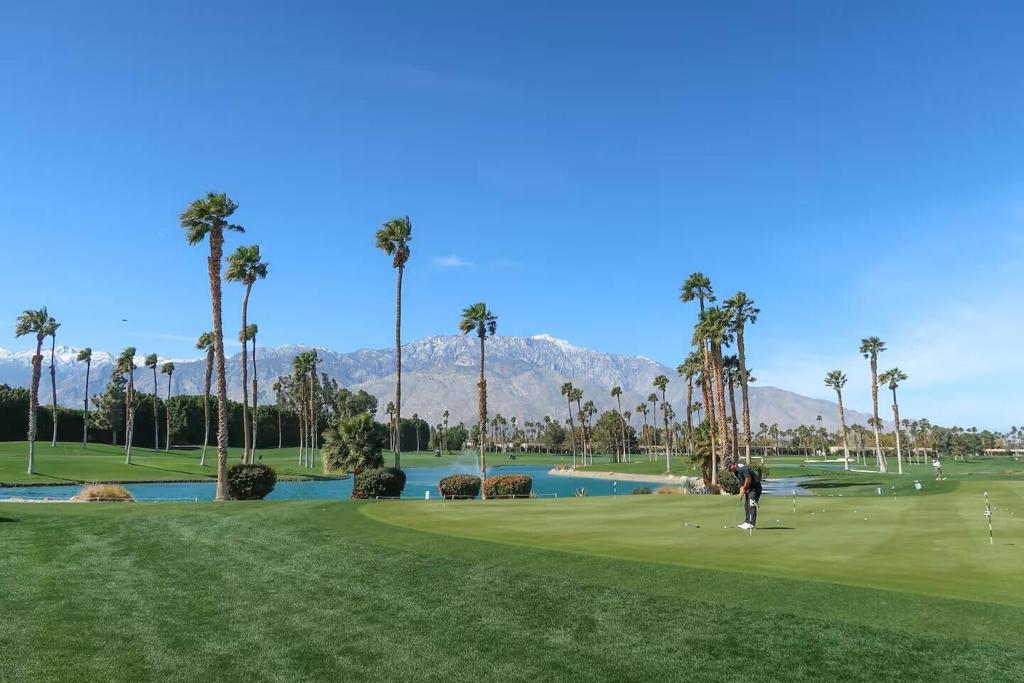 Desert Princess - Residential